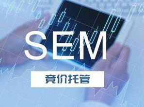 SEM競價托管服務 技術(shù)推廣的新引擎